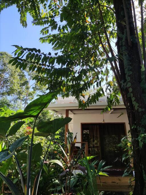 Little Yemanja Bungalow Puerto Viejo de Talamanca Екстер'єр фото